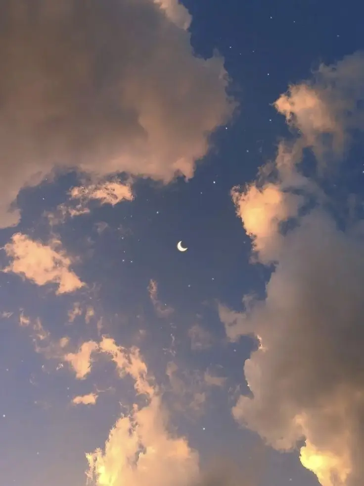 QuietShoes3638의 남자 학교