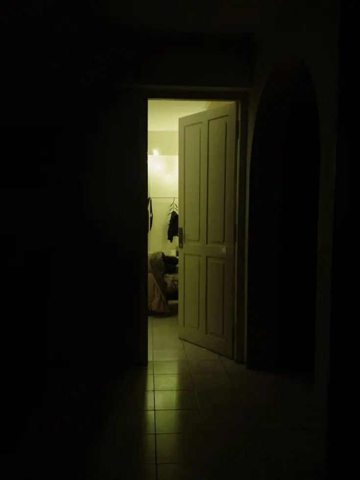 Peemtoopya의 Caught by your incel roommate!!