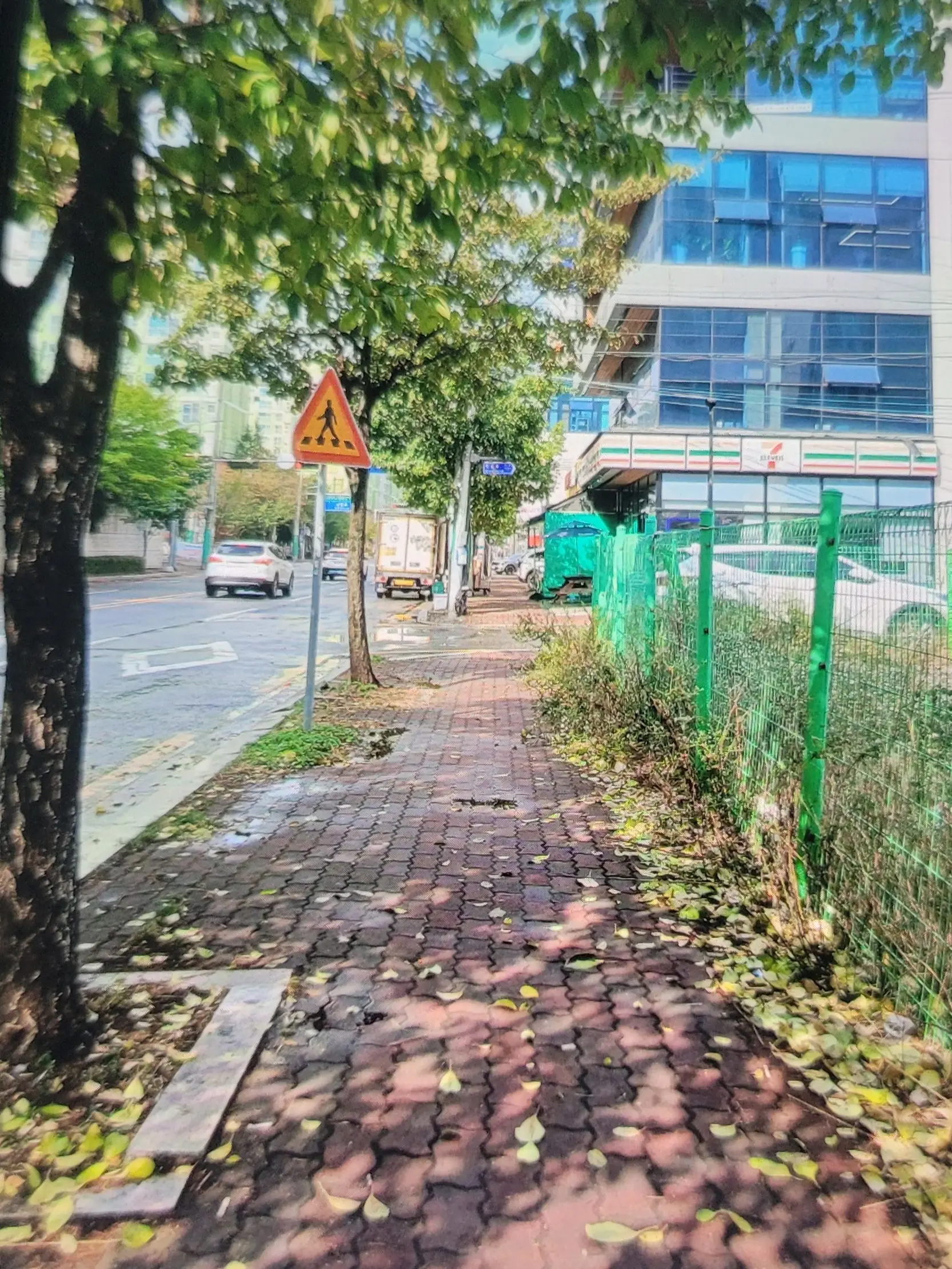 OvalFlame9274의 주술회전 동거!