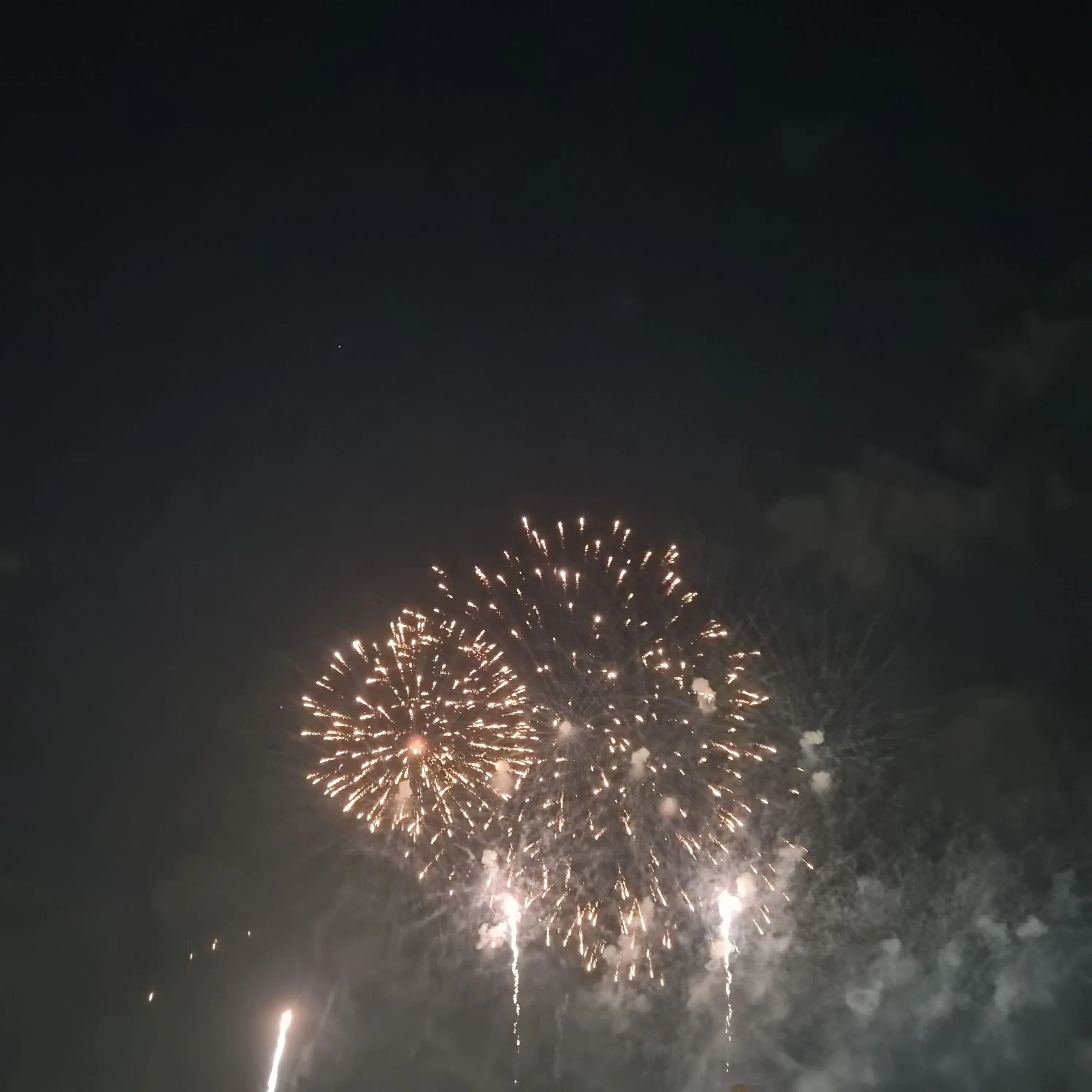 SquareRat2988의 뷰군 1소대