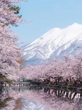 yewyu09의 Japanese Life RP