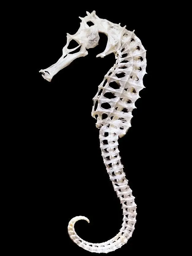 Zion.T의 심해의 녹