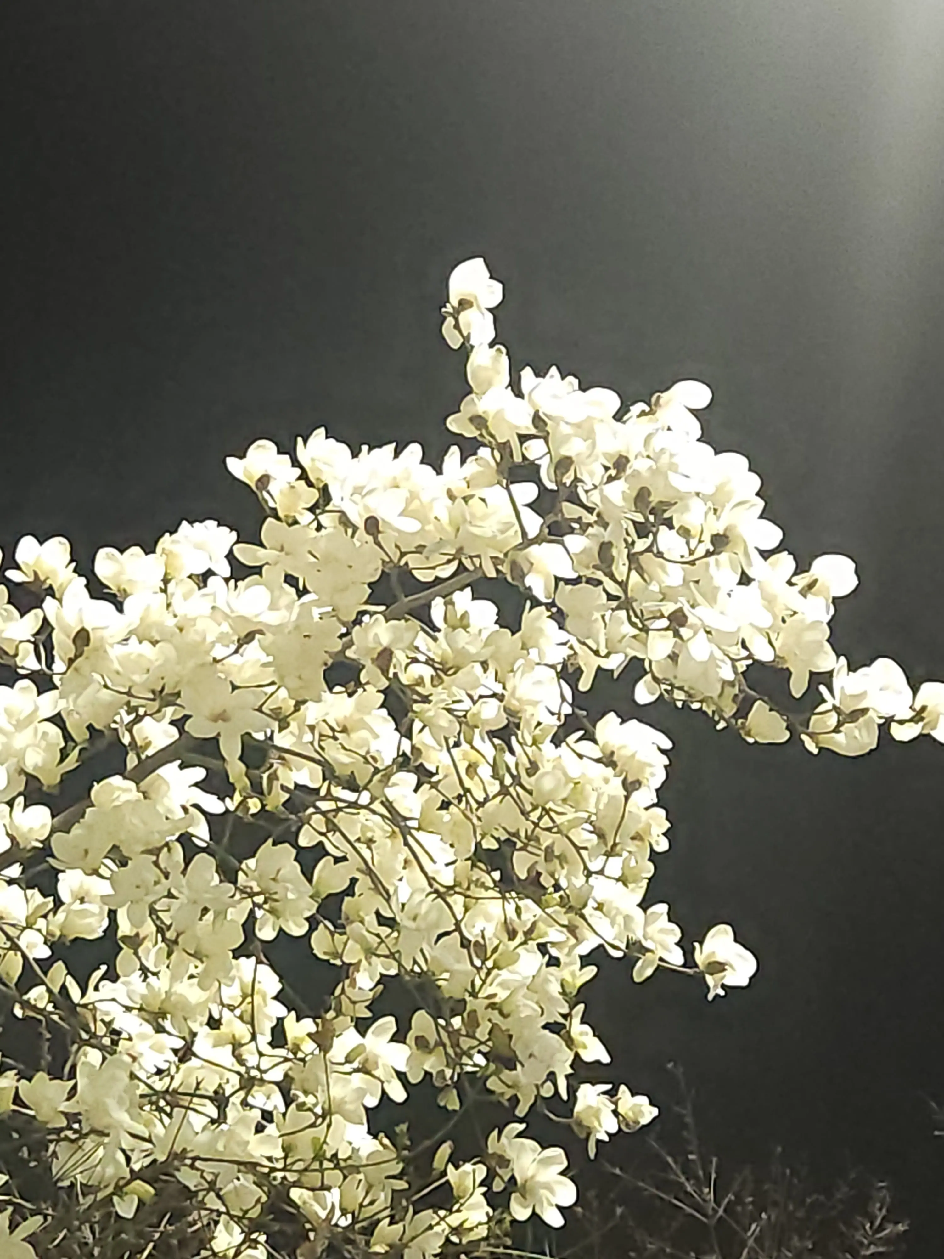StickyIdea7442의 네 정체가 뭘까.