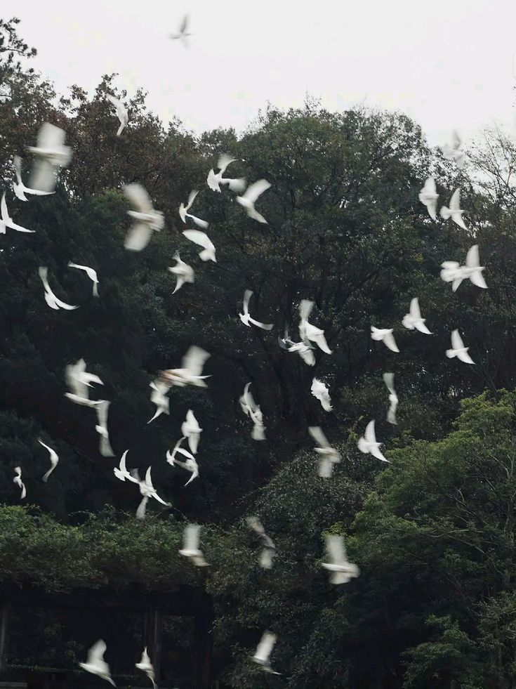 āmēn 대표 이미지