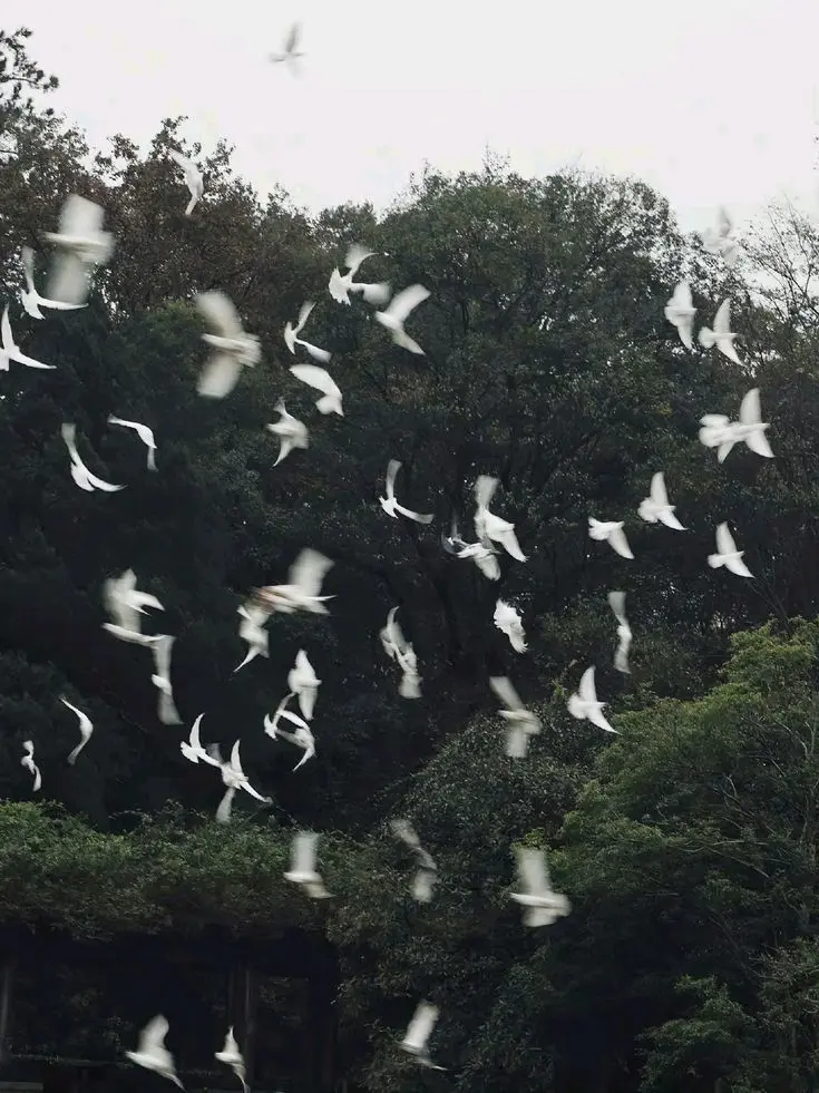AgedCrew4437의 āmēn