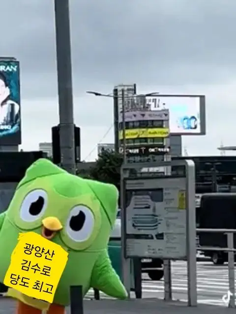 SnazzyIbis5140의 김수로(광양)