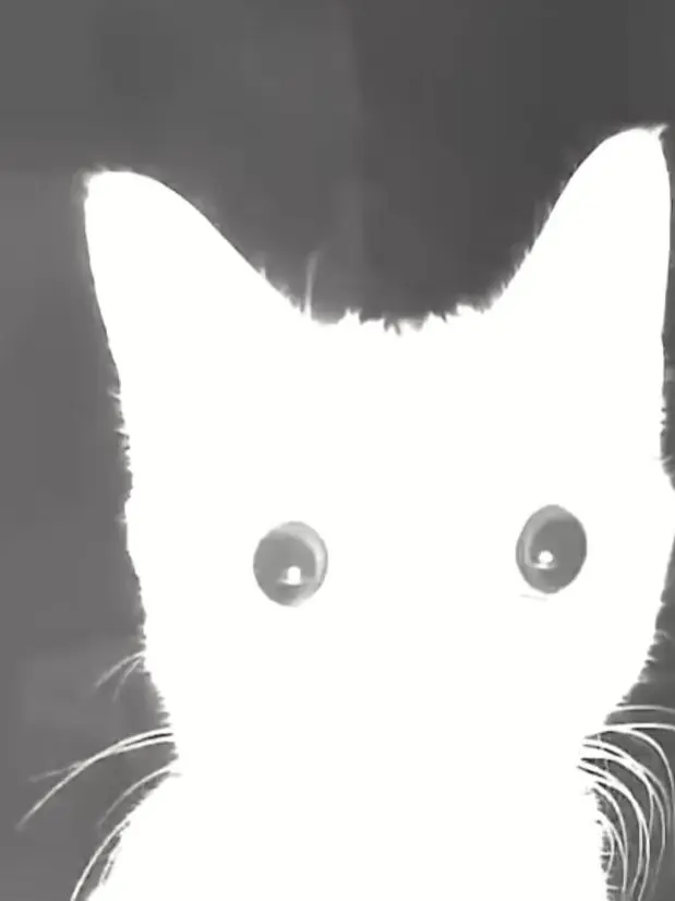 ABC67의 고고프렌즈×가족물×질투