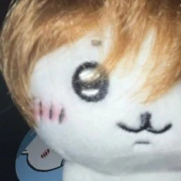 아이돌 인생..