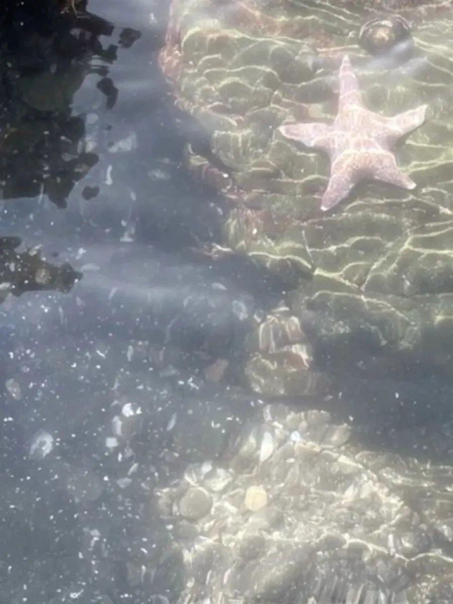 Ope_0pe_0312의 The Human Me and the Mermaid You
