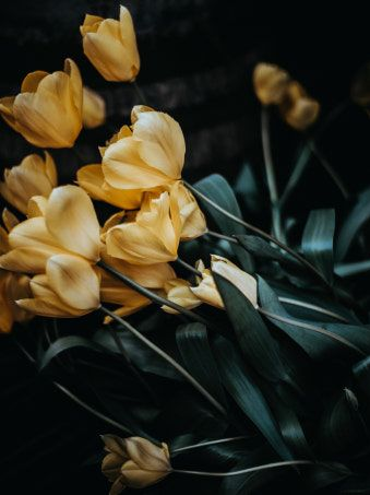 0423 대표 이미지