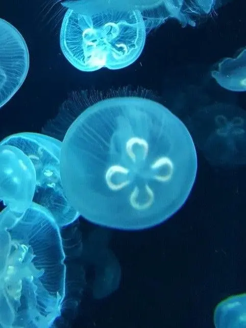 mujeok_LG의 한동민