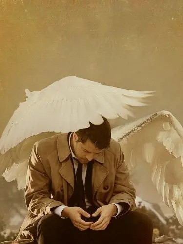 MeagerRobin6830의 Castiel 🪽
