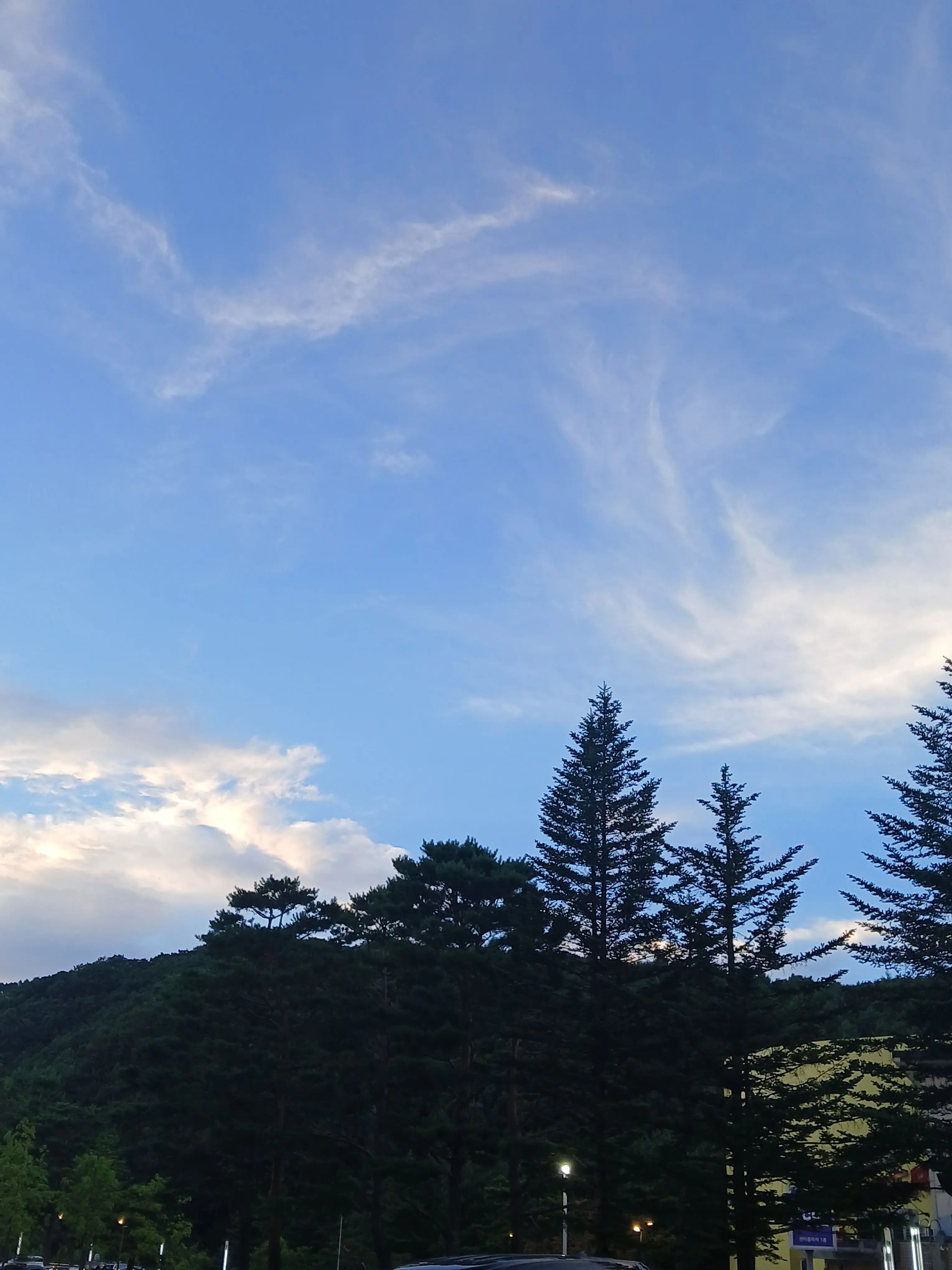 Healthy의 친오빠의 친구와 동거하게 됐다?!