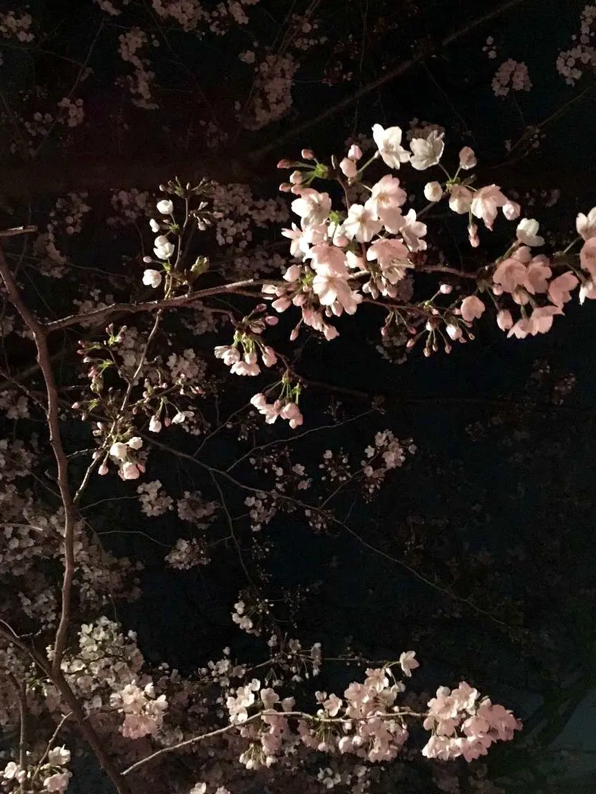 Arashi.5x20.n의 ブラペ 愛されif