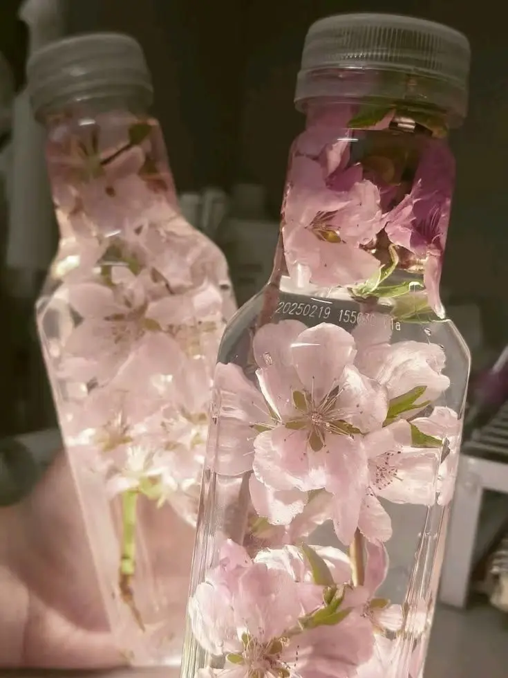 Iam_yui의 미스터리 유리반 2기