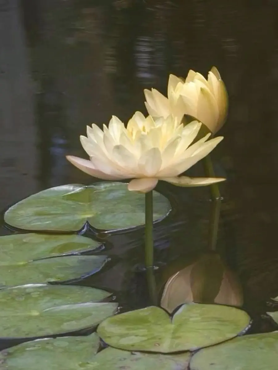 interesting_taste의 예엥