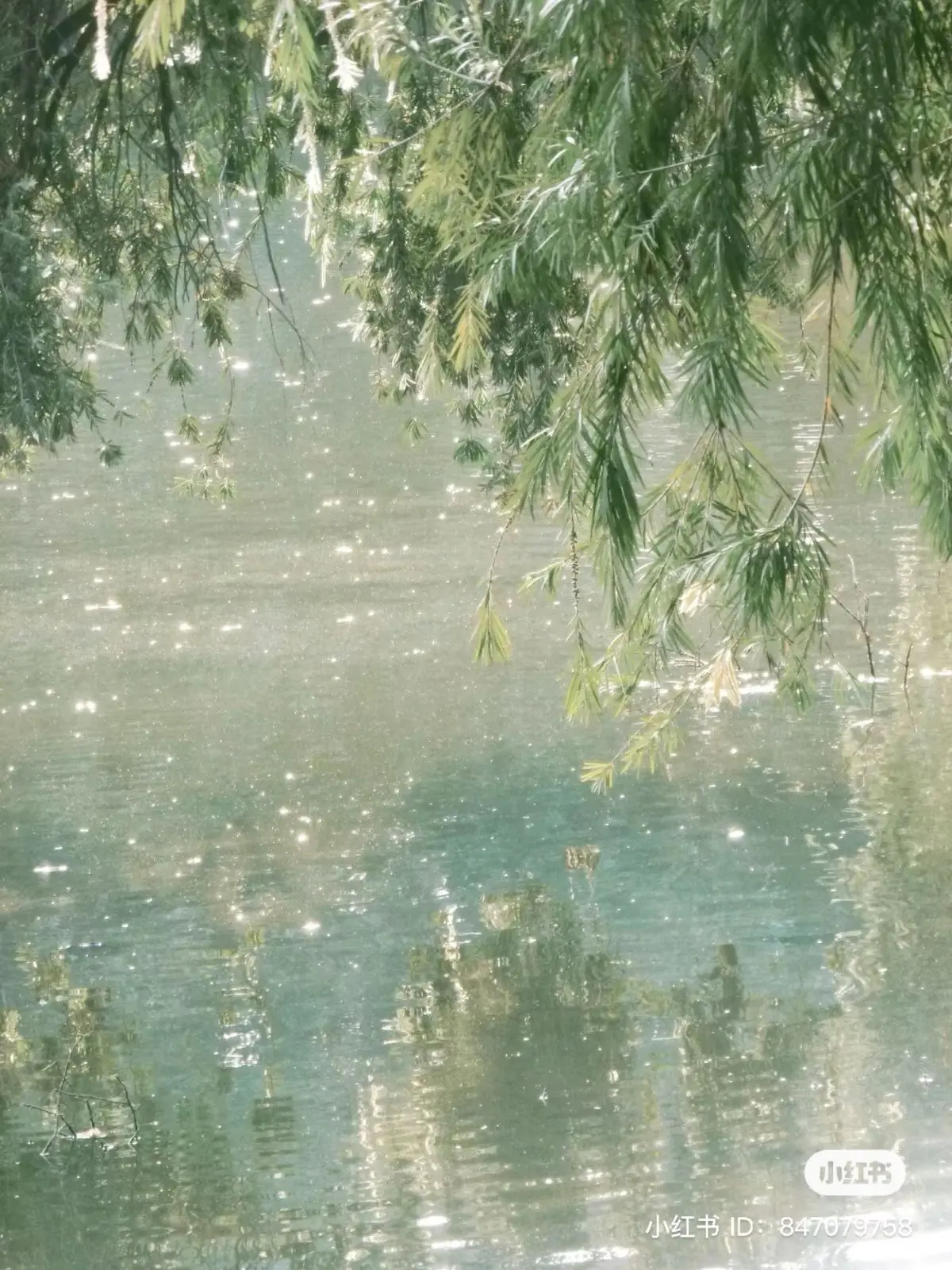 interesting_taste의 예엥