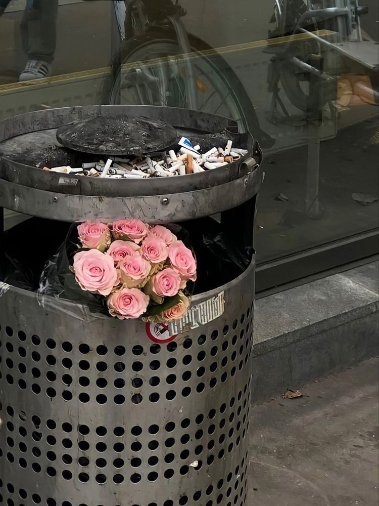 최성우 대표 이미지