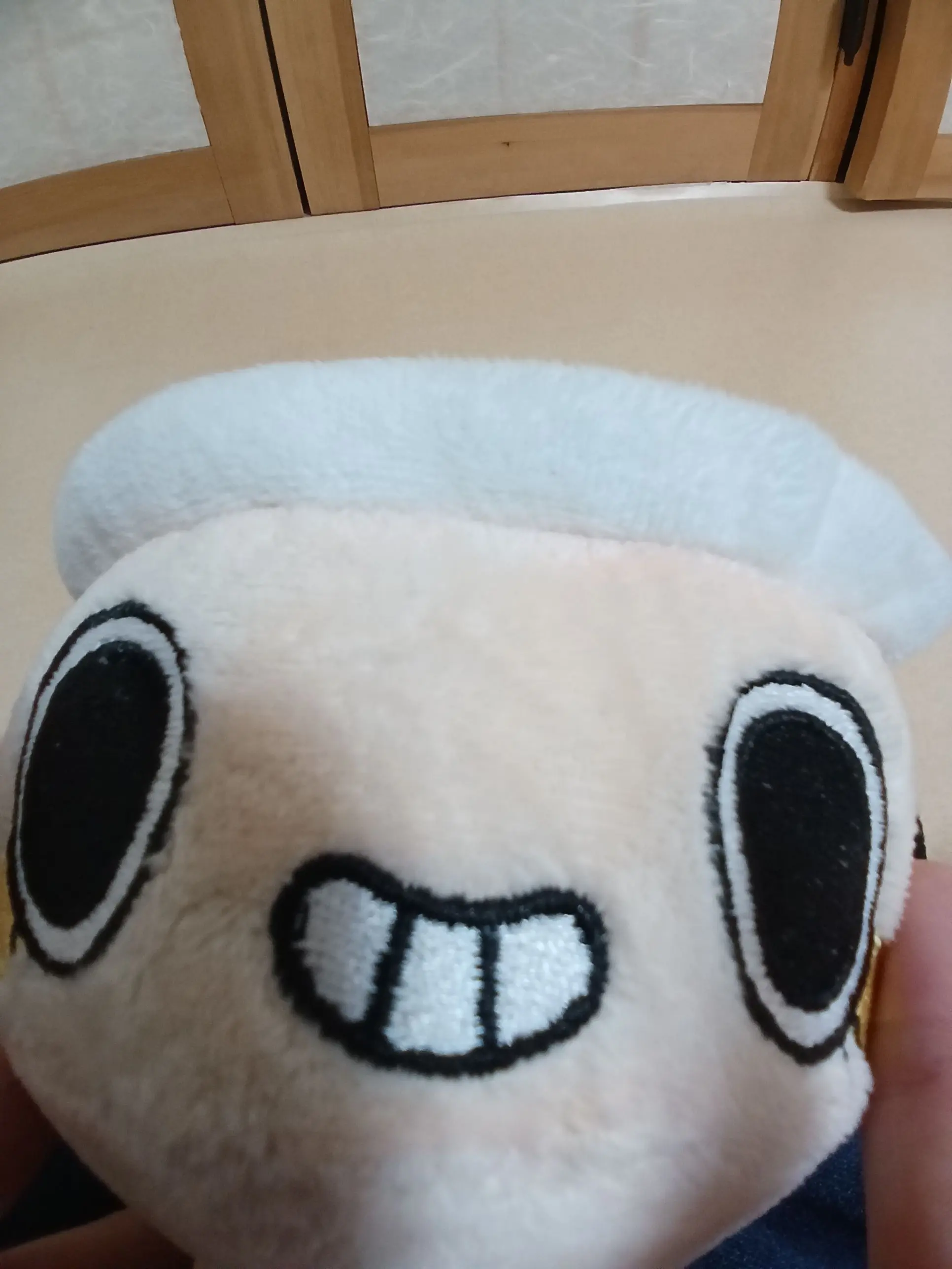 HiShelly의 쉘리들. (사심임!)