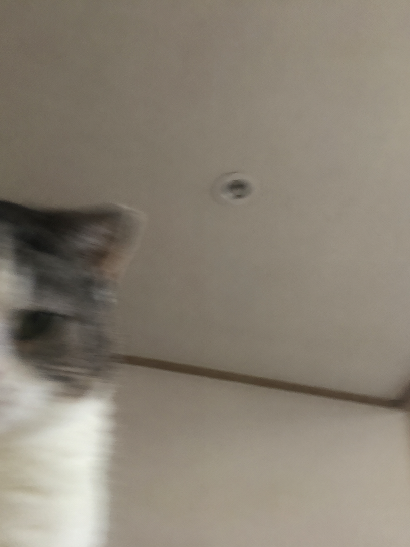 なでなで 대표 이미지