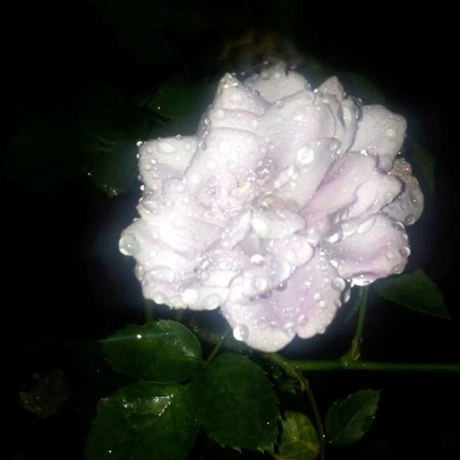 마츠다 케이타 대표 이미지