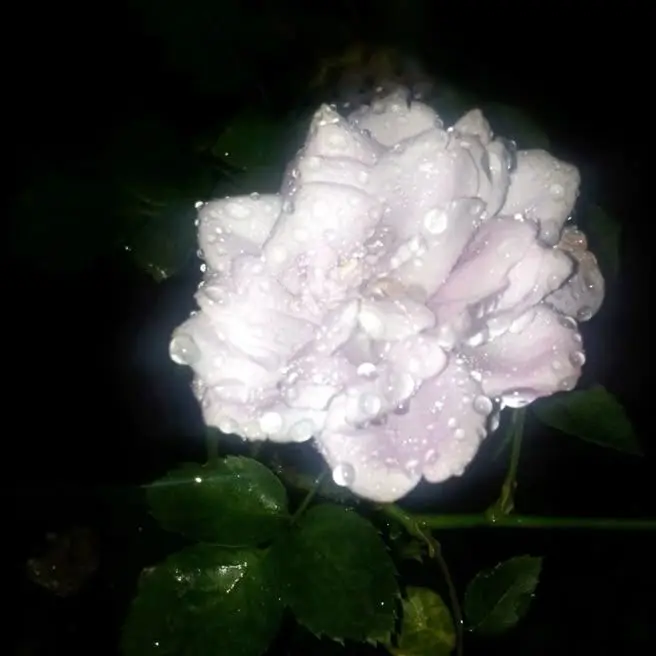 DaftHeron9697의 마츠다 케이타