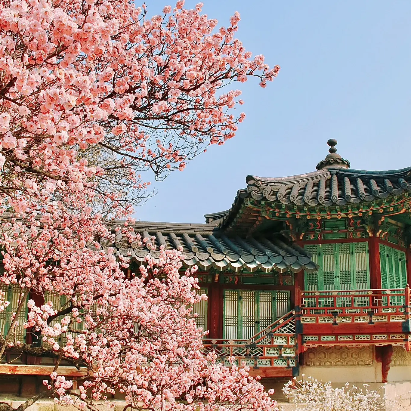 seolmo의 구화산 생환 if