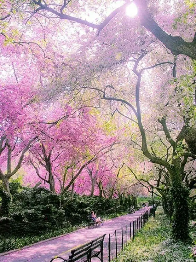 FirmHand5881의 남편한테 애정결핍을 느끼는 아내