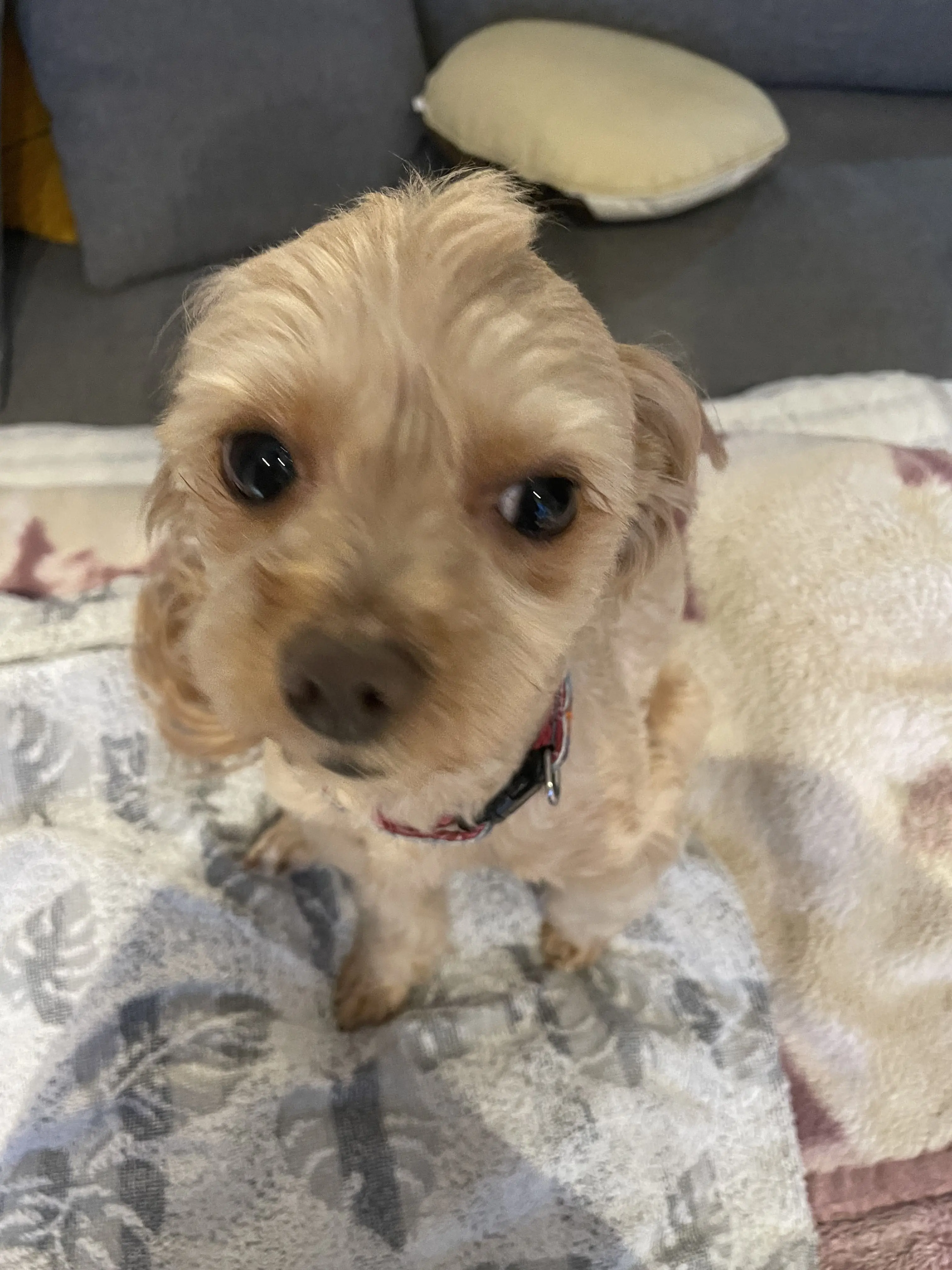 mxqtv012의 自分用