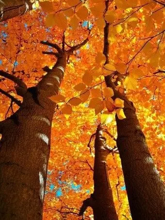 SUT의 조금은 기뻐