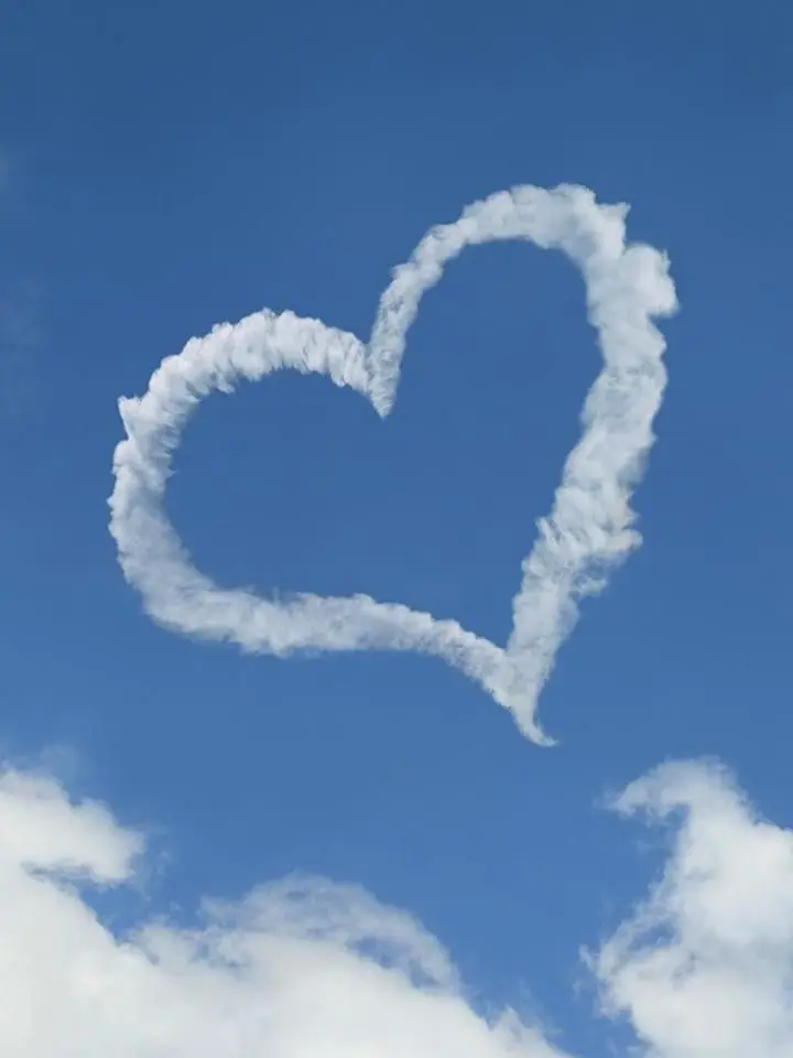 Hyuryuryu의 ㅁㅣㅊㅠ