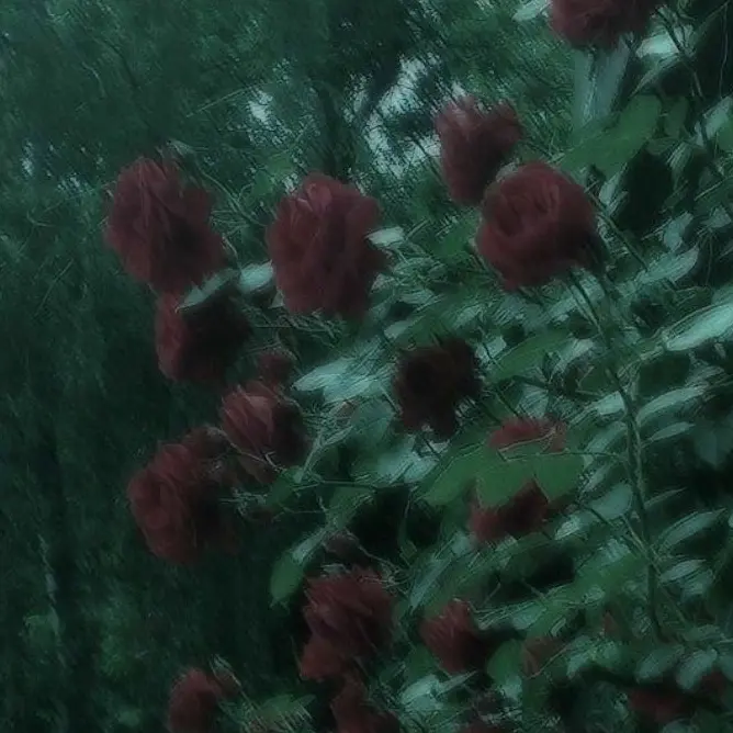 eight_time의 정공룡