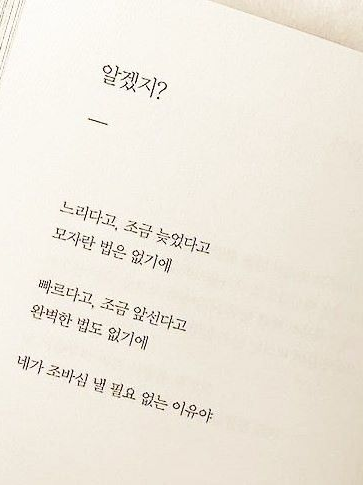 혼돈부기 - 팀나빠 대표 이미지
