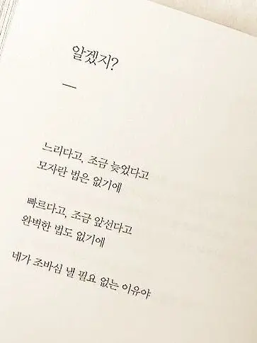 jellyBBlilly의 혼돈부기 - 팀나빠