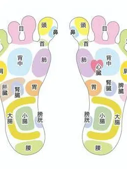 GaudyPetal0944의 足つぼマッサージ！