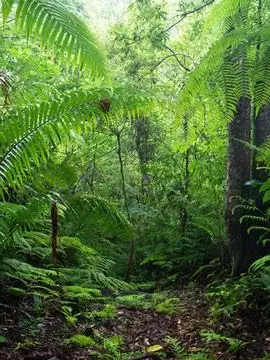 jurassicworldcom의 ジャングルに墜落…