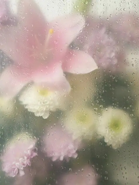 4sho_RL의 연상남