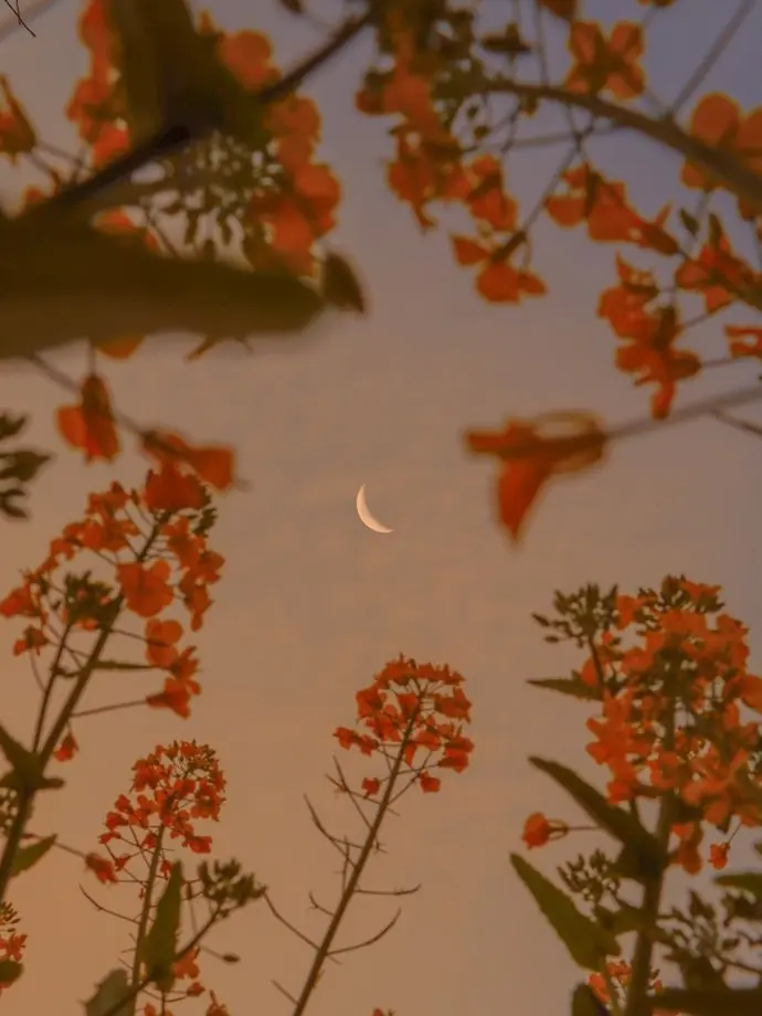 dpxnp의 달을 삼킨 신수와 영안을 가진 남자