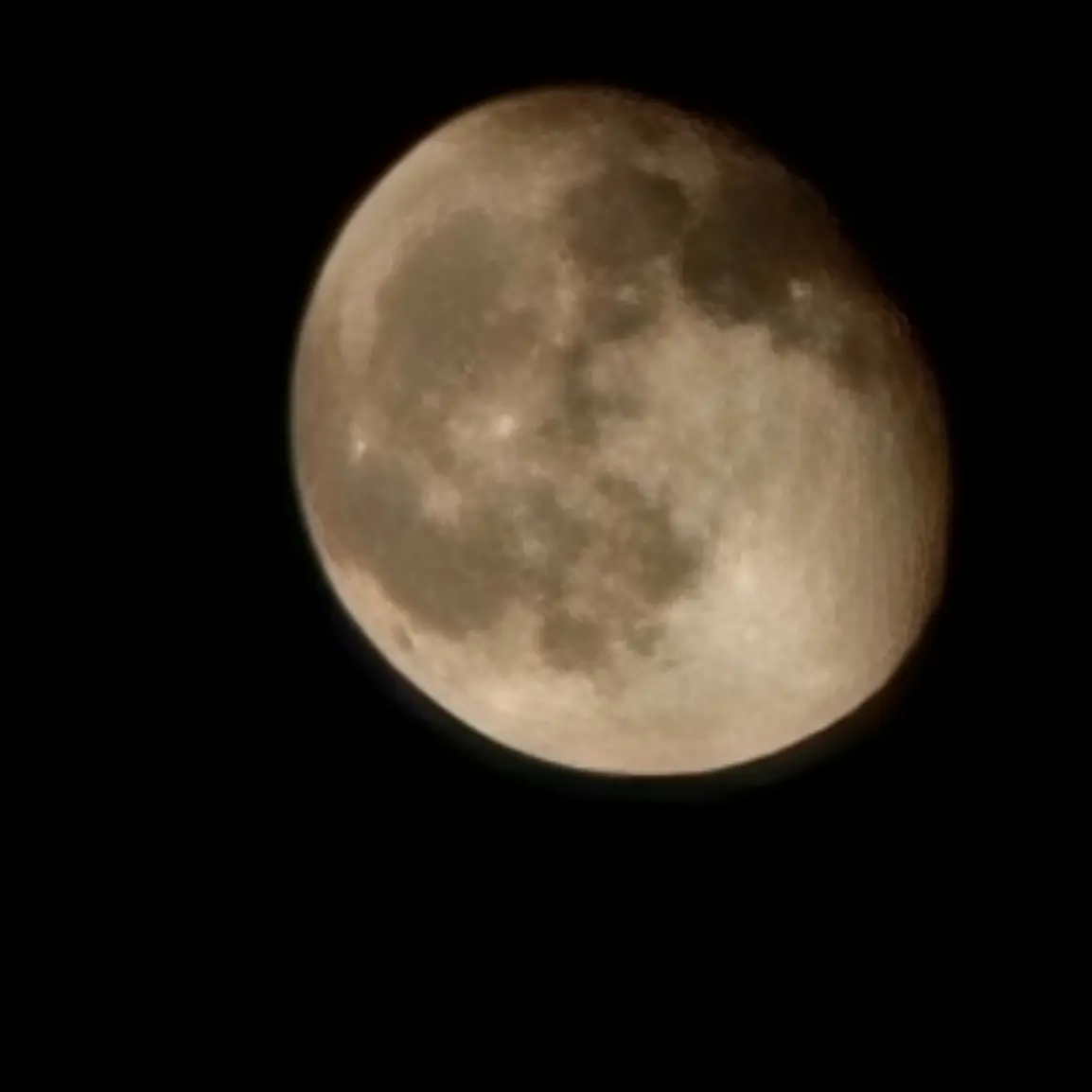 QuirkyEdit6087의 강수량 아레나 친구들!!!