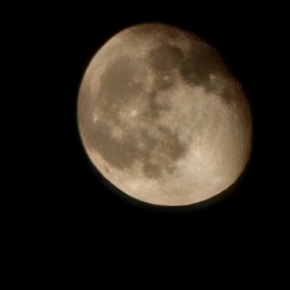 강수량 아레나 친구들!!!