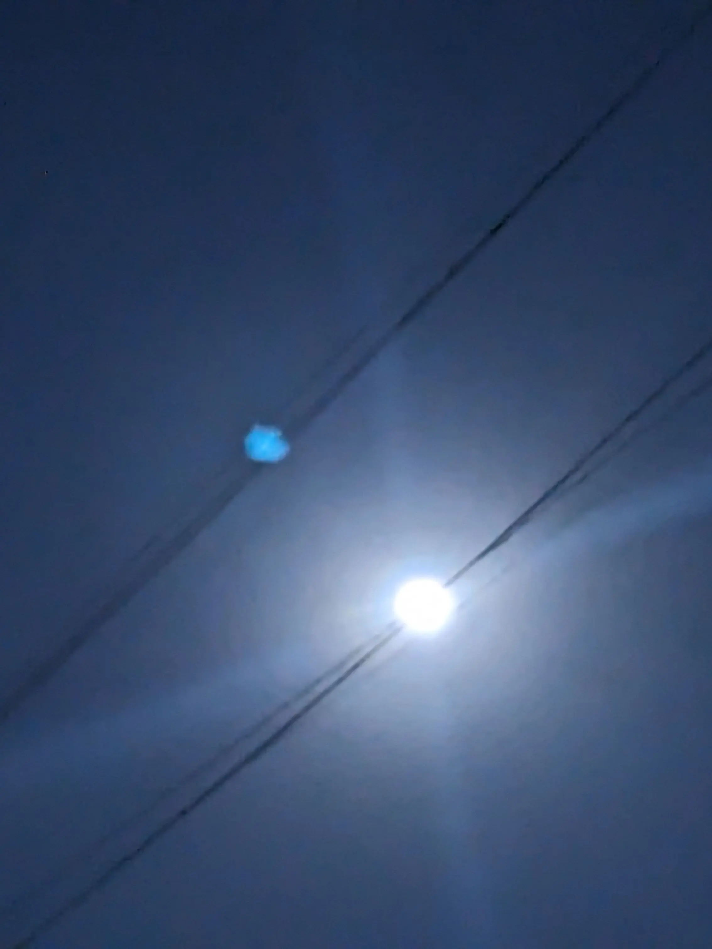 Haru_cha3289의 道化師