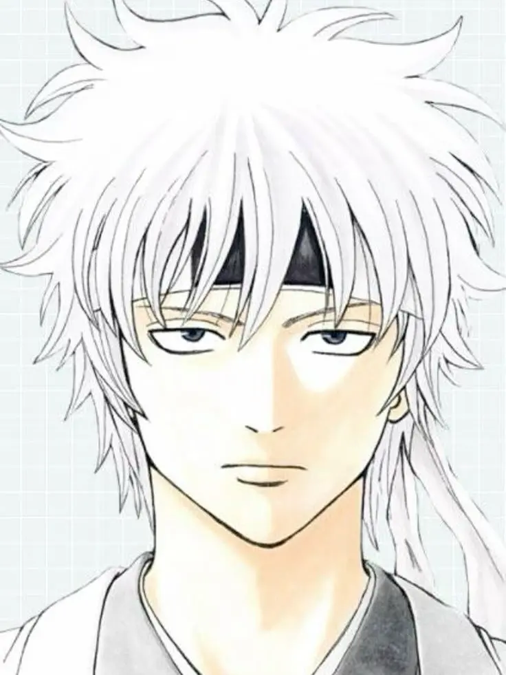 skidakara의 사카타 긴토키