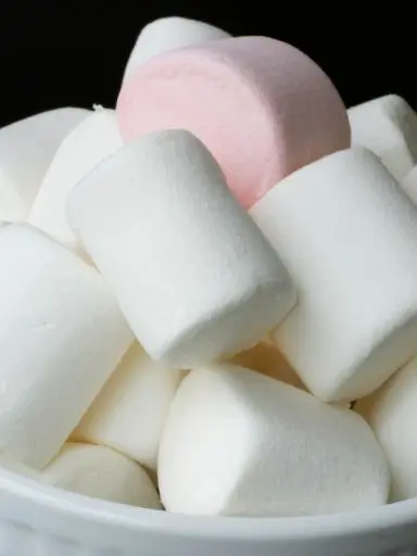 HeftySweet1294의 젤리즈+간식즈=🍧🍡