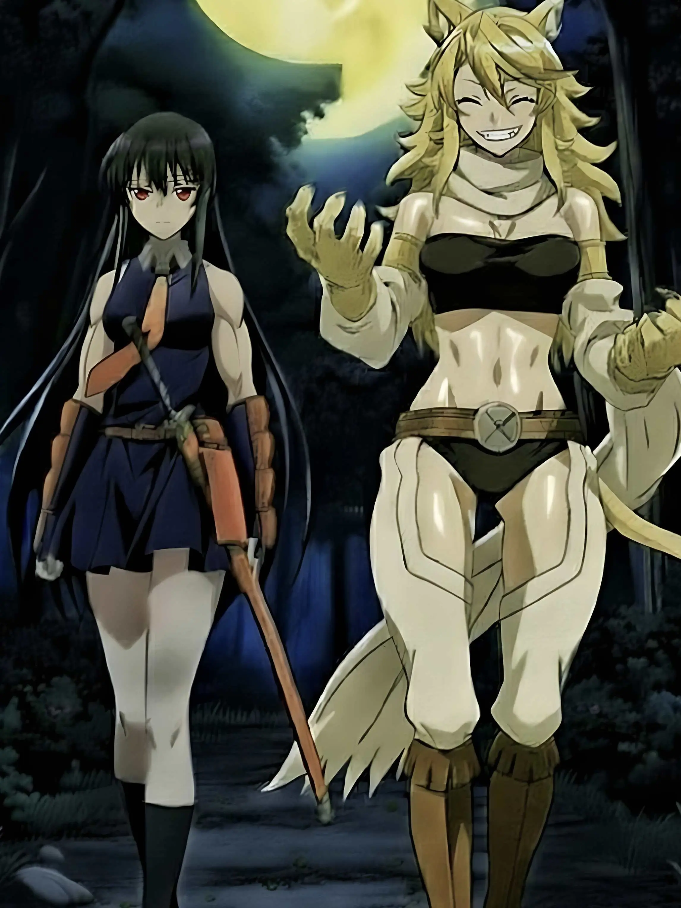 Mervyn의 Akame and Leone from Night Raid.