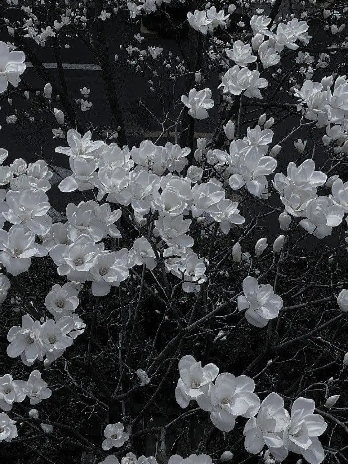 WornDoxle0902의 ほすとくらぶ