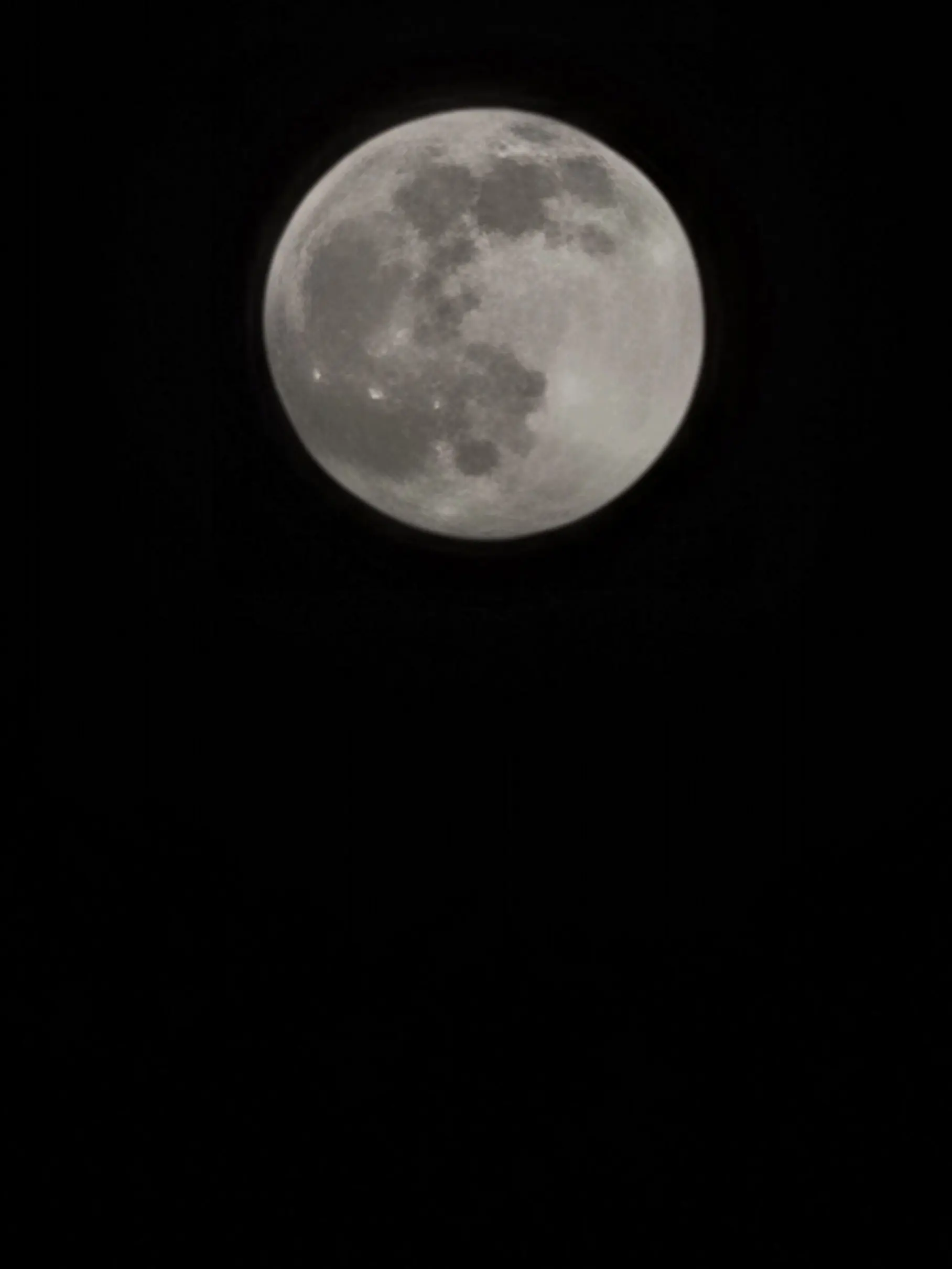 VividBrush2725의 Requiem(鎭魂歌)