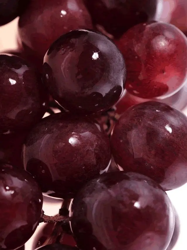 CruelLoss0920의 솔음 두 배 이벤트 도치가 스키?