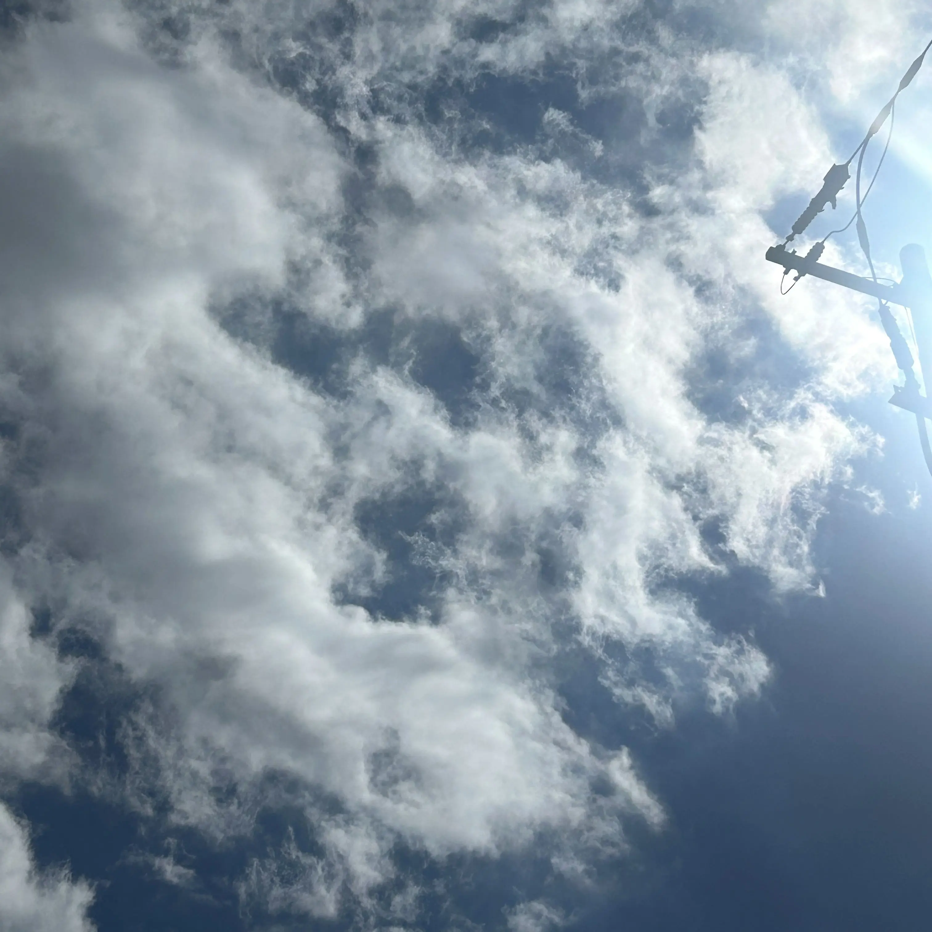 y._.xxsl의 뜰팁 수인 학교에 전학 온 여우.