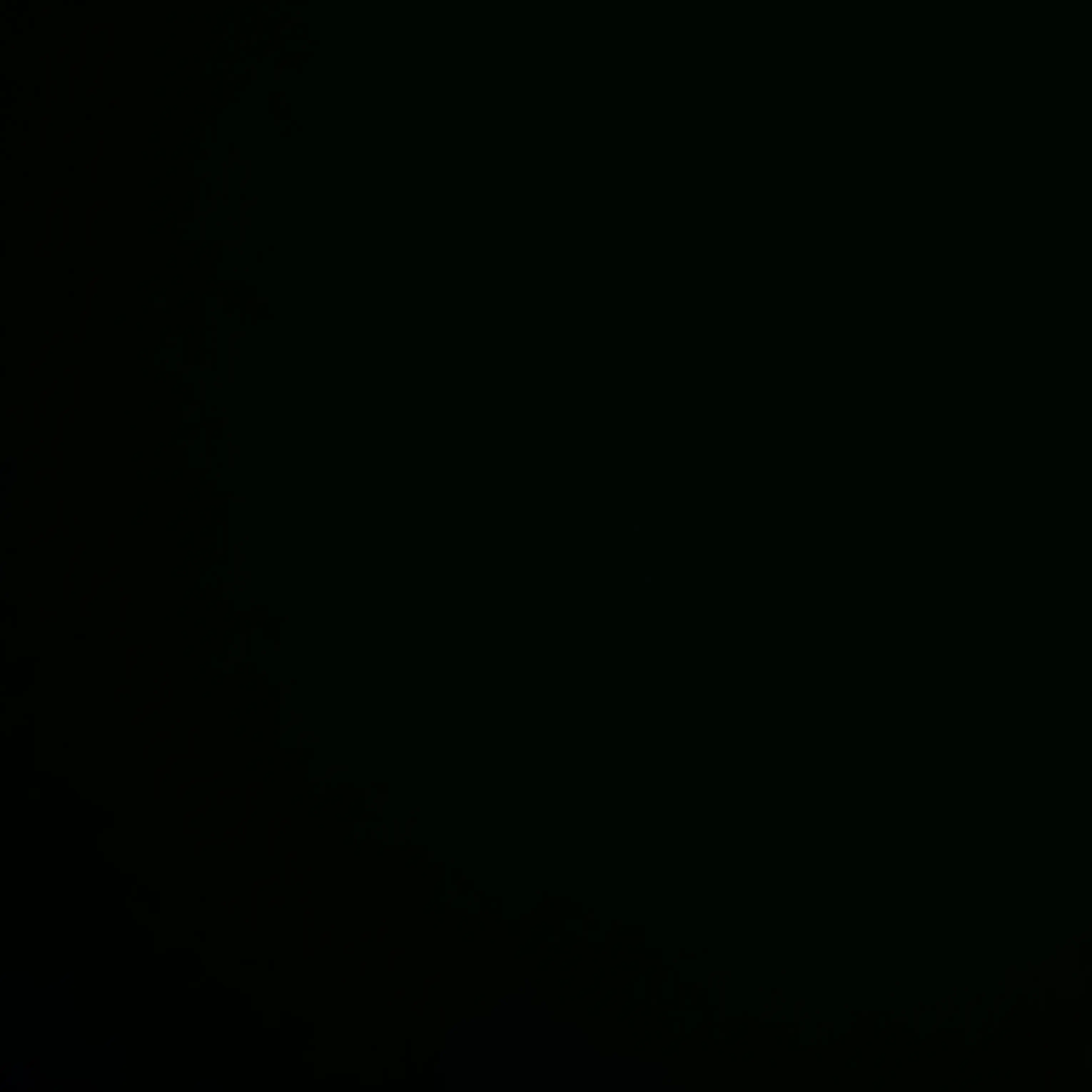 assnsns의 안유진