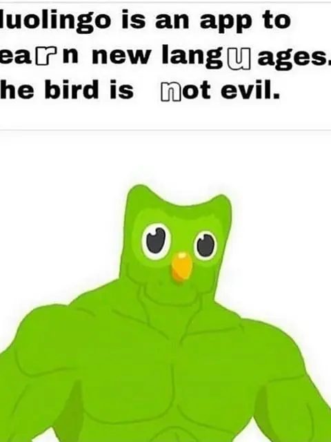 Ddallaehanstar의 ㅋㅋㄹㅃㅃ